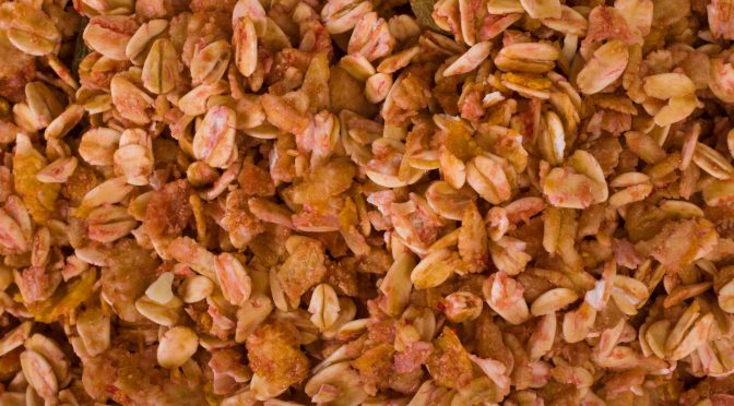 The Basic Principles of a High Fiber Diet During Pregnancy