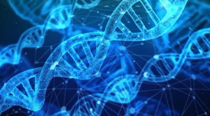 DNA Screening – The Future of Individualised Health Care.