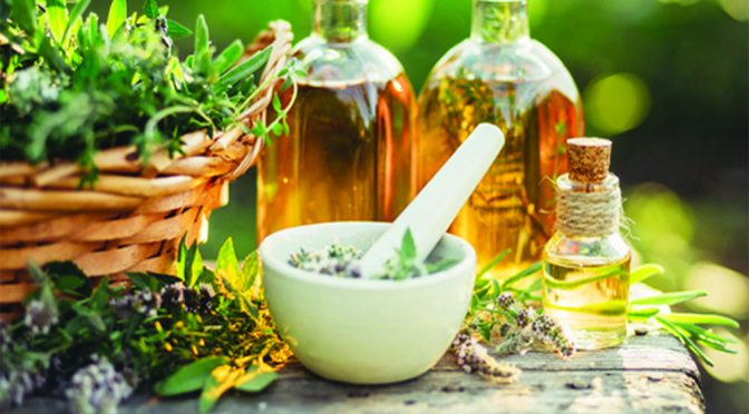 Your Guide to the Best Naturopaths in Sydney for Holistic Health