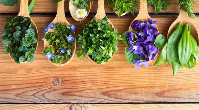 Can A Naturopath help with Fertility Issues?