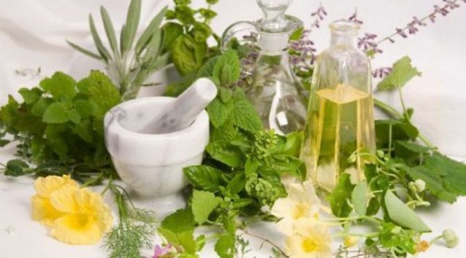 Exploring Holistic Wellness: The Rise of Naturopathy Treatment in Sydney