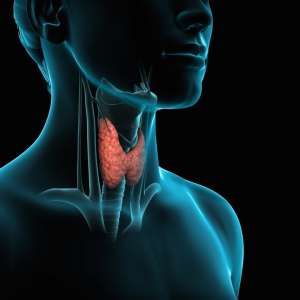 Hormone Imbalance Naturopath in Sydney: Balance Your Body Naturally