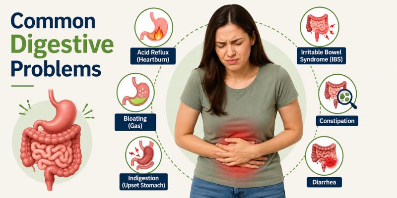 Common Digestive Problems